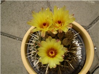 7d396ba1-Picture 4471.jpg